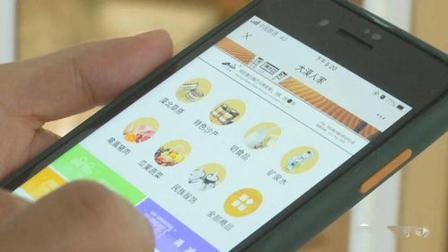 阿右旗 打造电商产业链，助力特色产品行稳致远