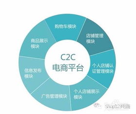什么是电子商务行业 有哪些具体电子商务类型